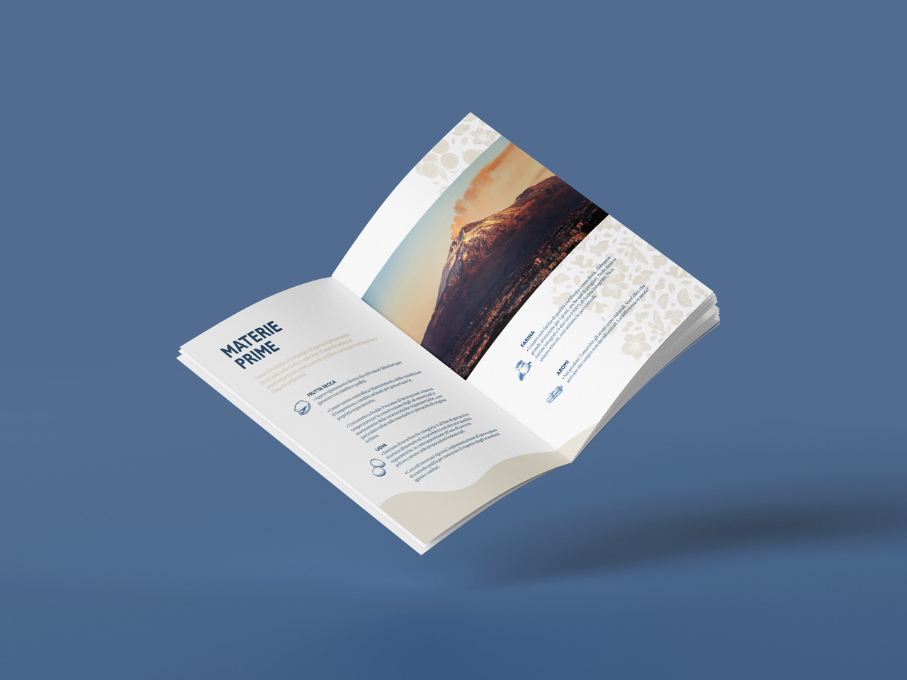 Company profile Tomarchio